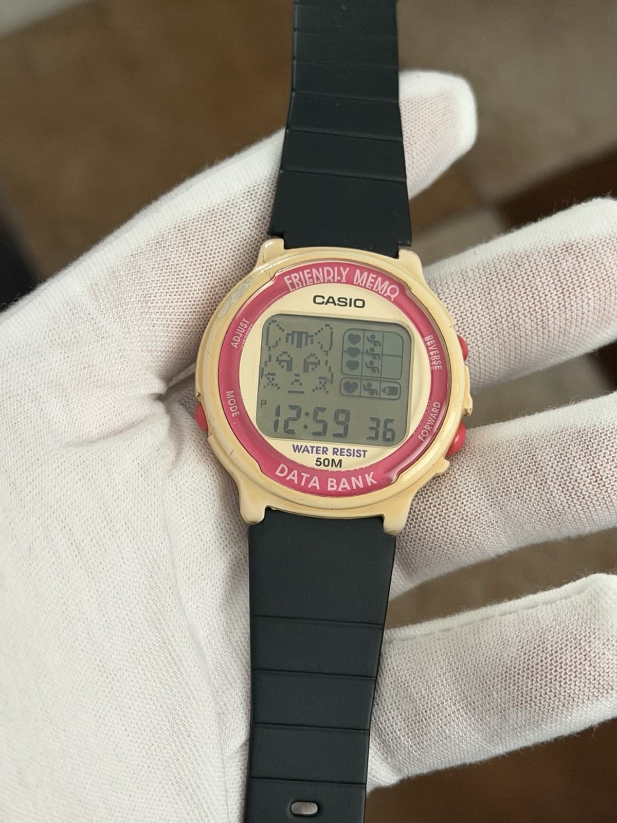 Rare Vintage Casio Friendly Memo Data Bank DBJ-24 Digital Sports Watch JDM 1980s